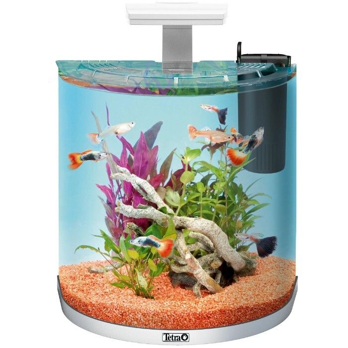 Tetra aquaart led tropical аквариум белый 60 л. аквариум tetra cascade globe 6 8л круглый. аквариумный комплекс tetra. аквариум tetra cascade globe. Tetra starter line led аквариумный комплекс 54 л.