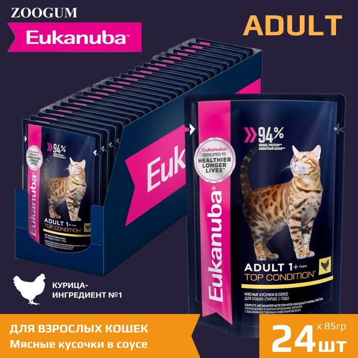 Bitiba cat food sale