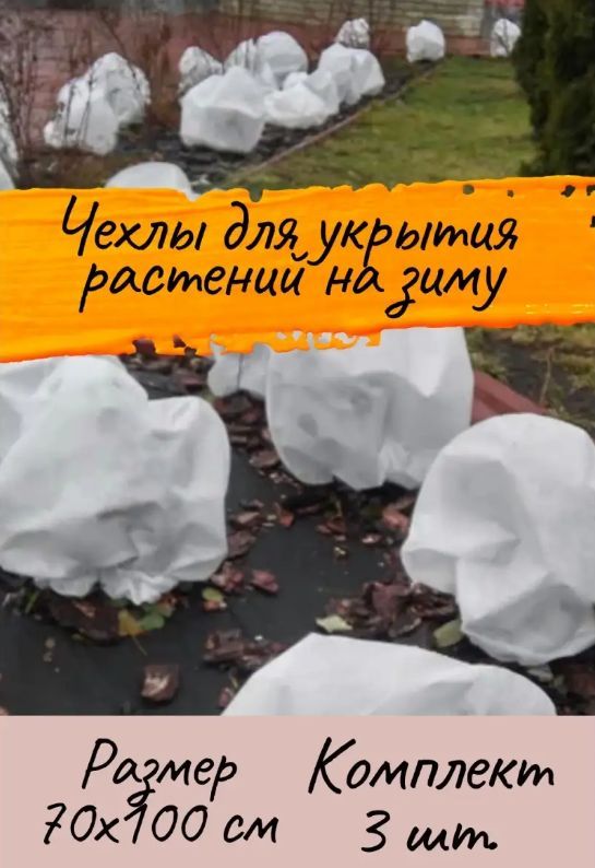 Какие растения укрываем на зиму. Какие растения укрываем на зиму