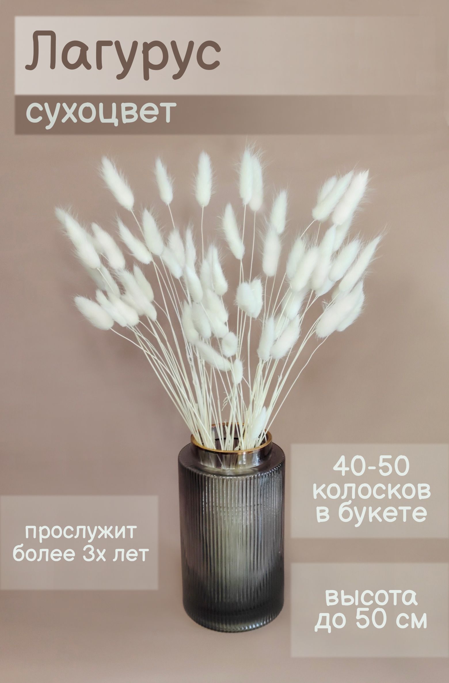 Сухоцветы Лагурус, 50 см, 100 гр, 50 шт