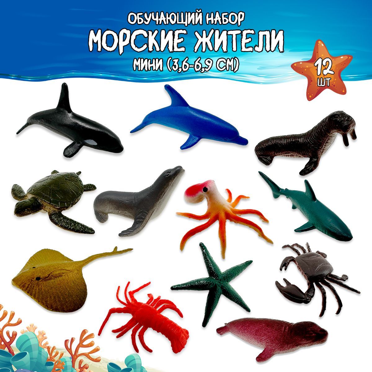 Морские животные картинки для детей | Морской конёк, Для детей, Животные