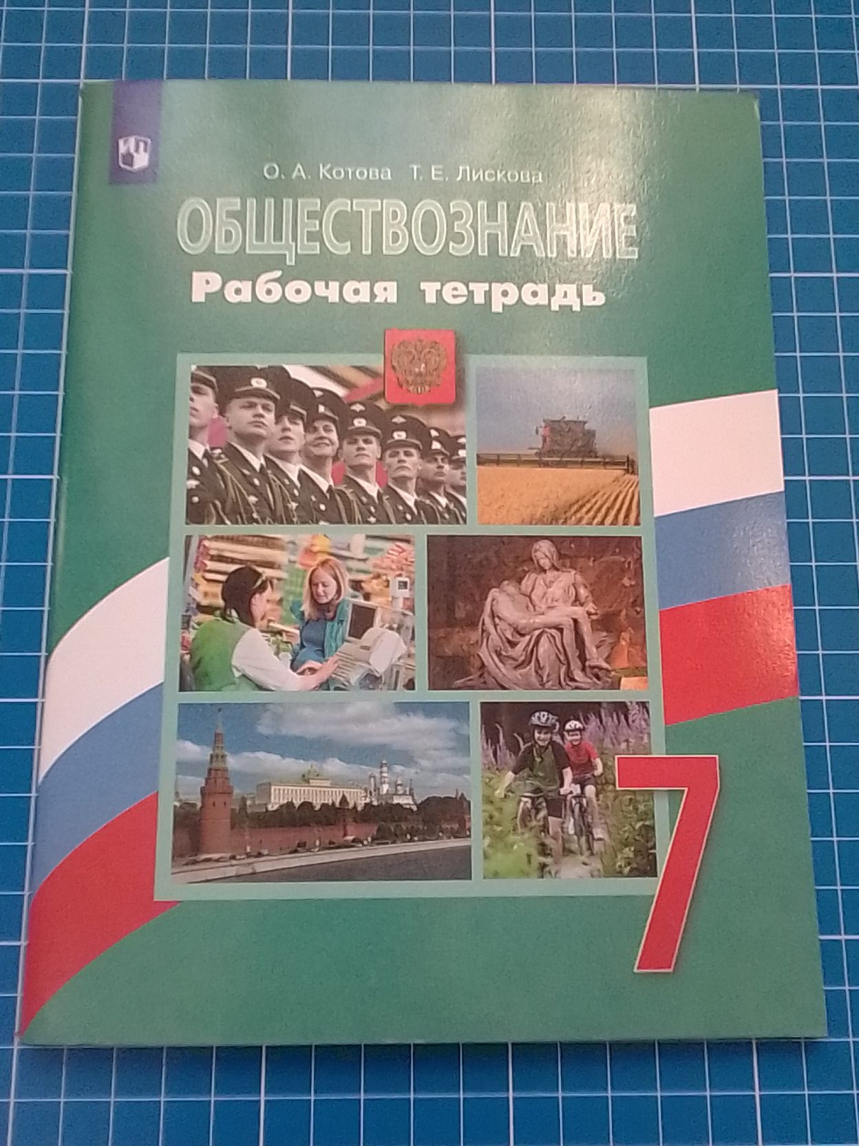 Обществознание рабочая тетрадь 7 класс Котова О.А., Лескова Т.Е. - купить с  доставкой по выгодным ценам в интернет-магазине OZON (1257247094)