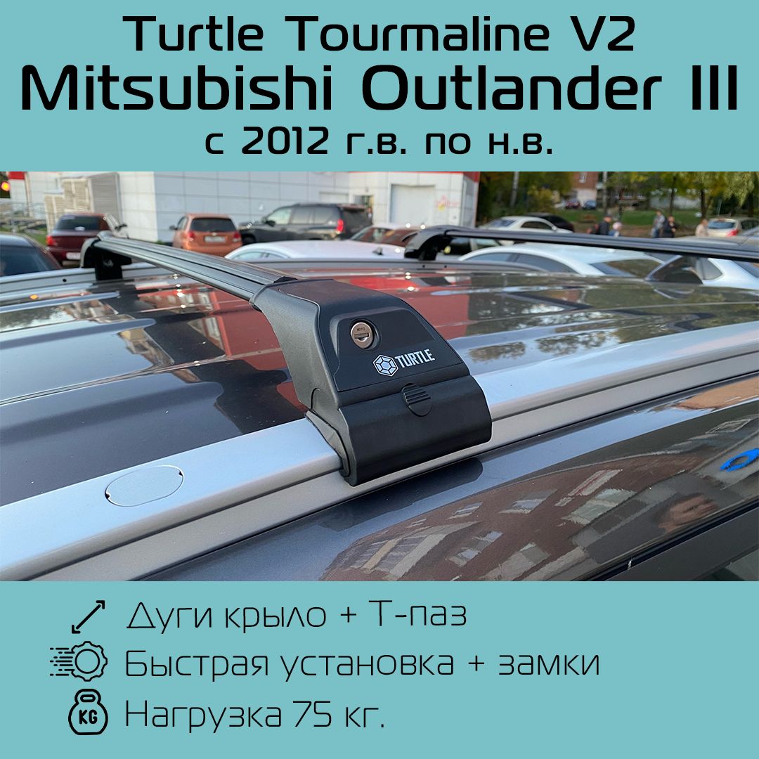 Turtle tourmaline