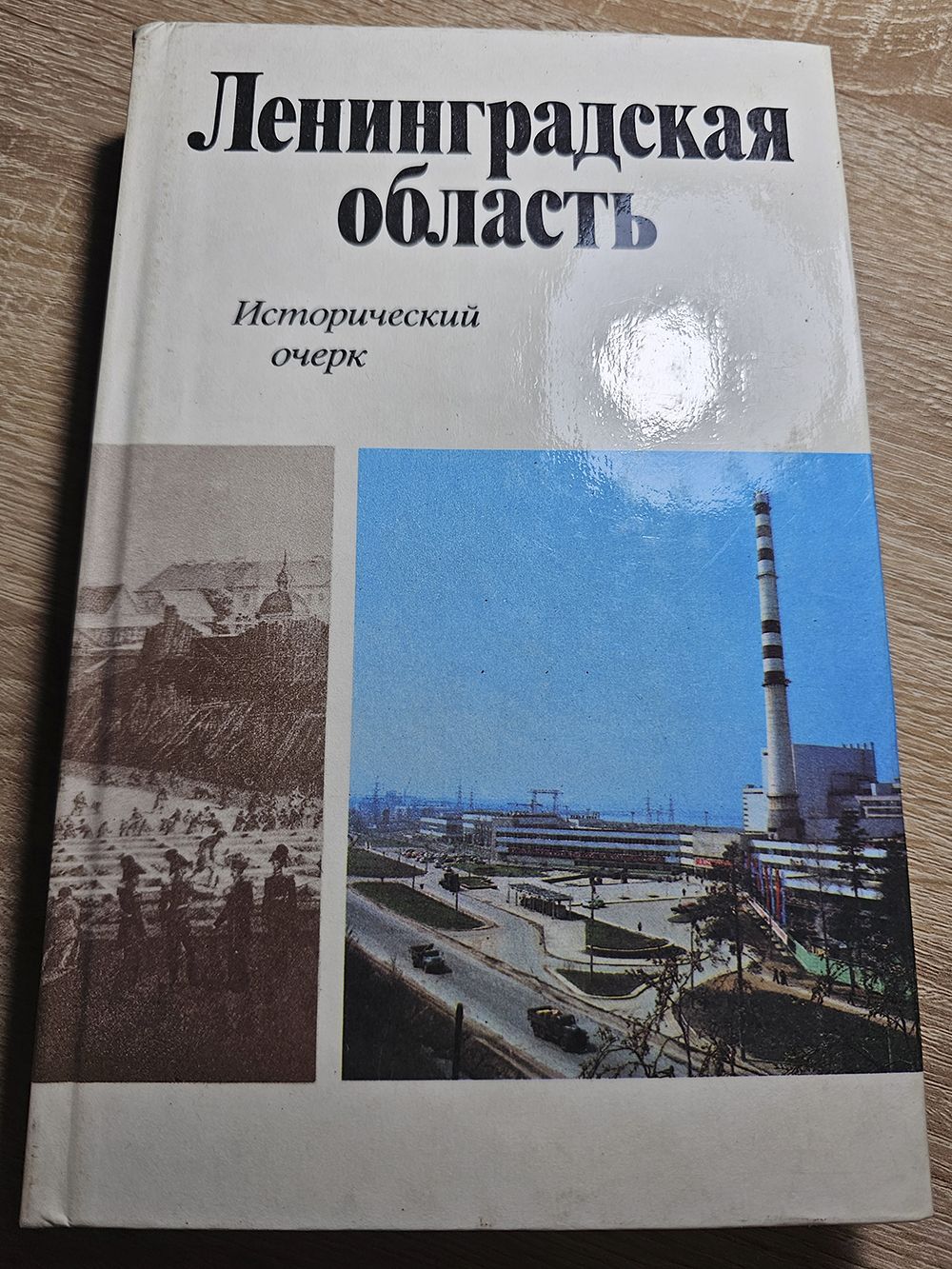 Ленинградская область. Исторический очерк | Ежов В. А.