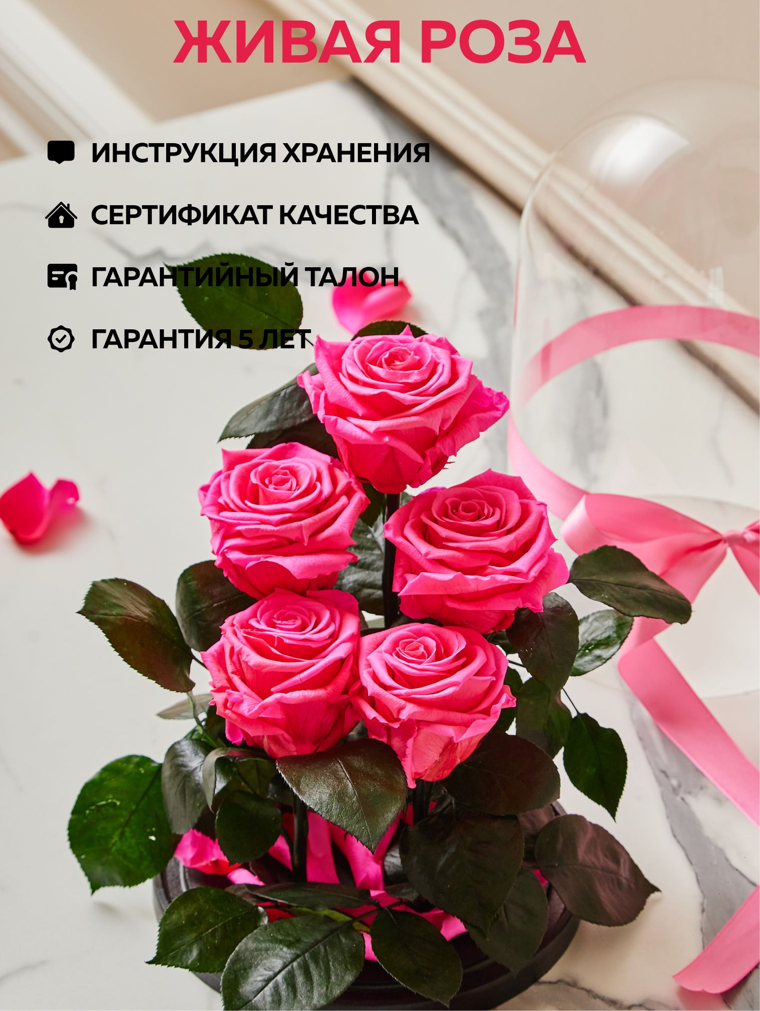 Купить Живые Розы