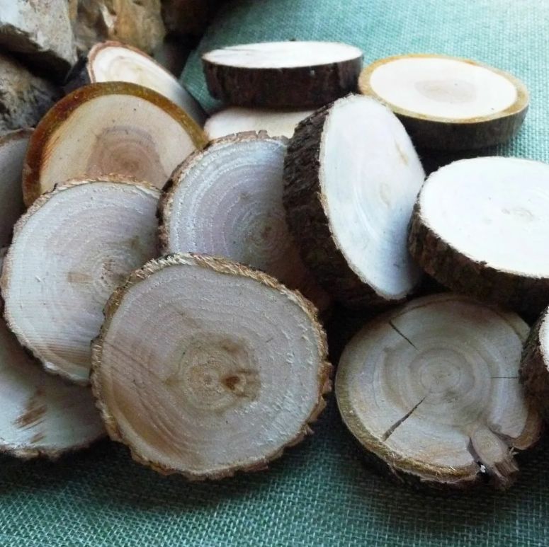 спилы москва. спилы из ясеня. декор из спилов дерева. торцевой спил. из спилов дерева.