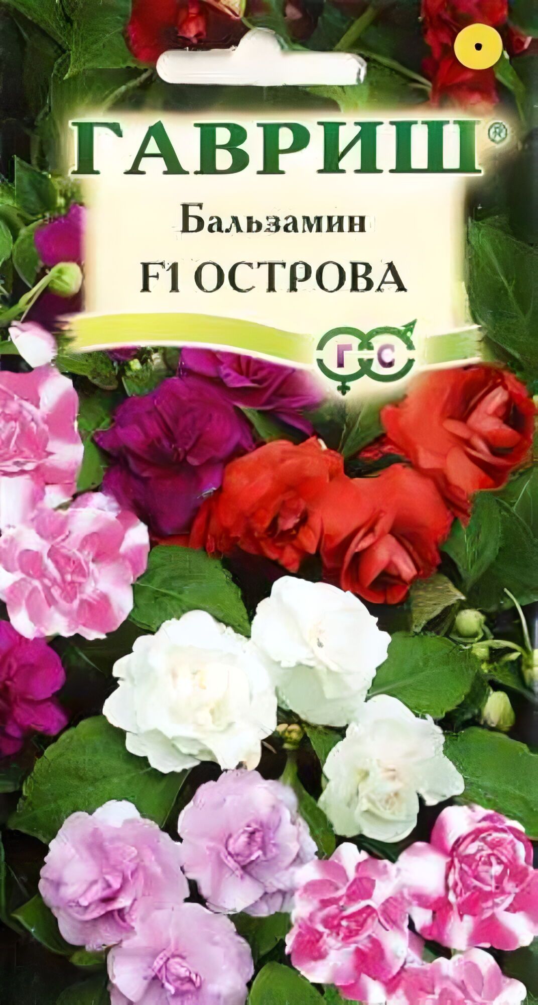 Бальзамин Том Тамб Купить Семена