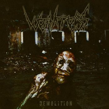 Weakness - Demolition компакт диск