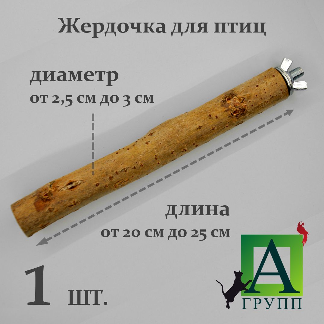 Клетка для Птиц Жако – купить в интернет-магазине OZON по низкой цене