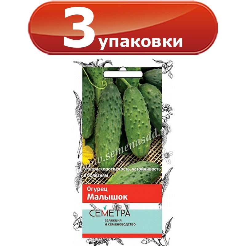 Огурец малышок фото