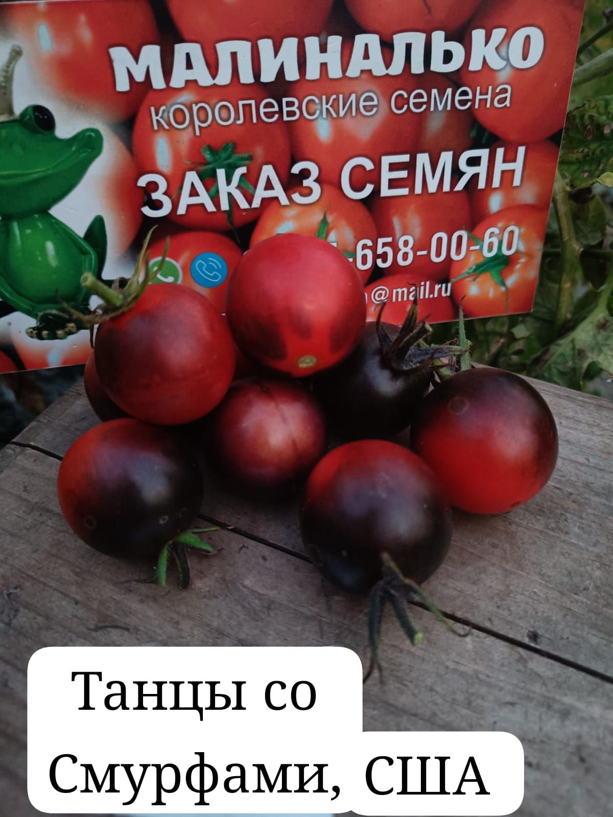 Помидоры Сызранские Розовые Купить Семена