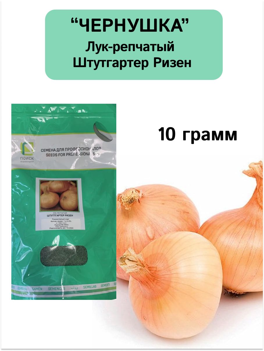 Лук ПОИСК Агрохолдинг Чернушка - купить по выгодным ценам в  интернет-магазине OZON (897269330)