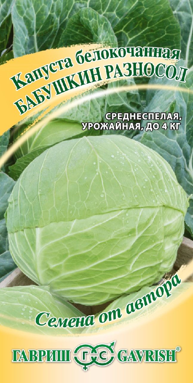 Семена Капусты Новатор Купить