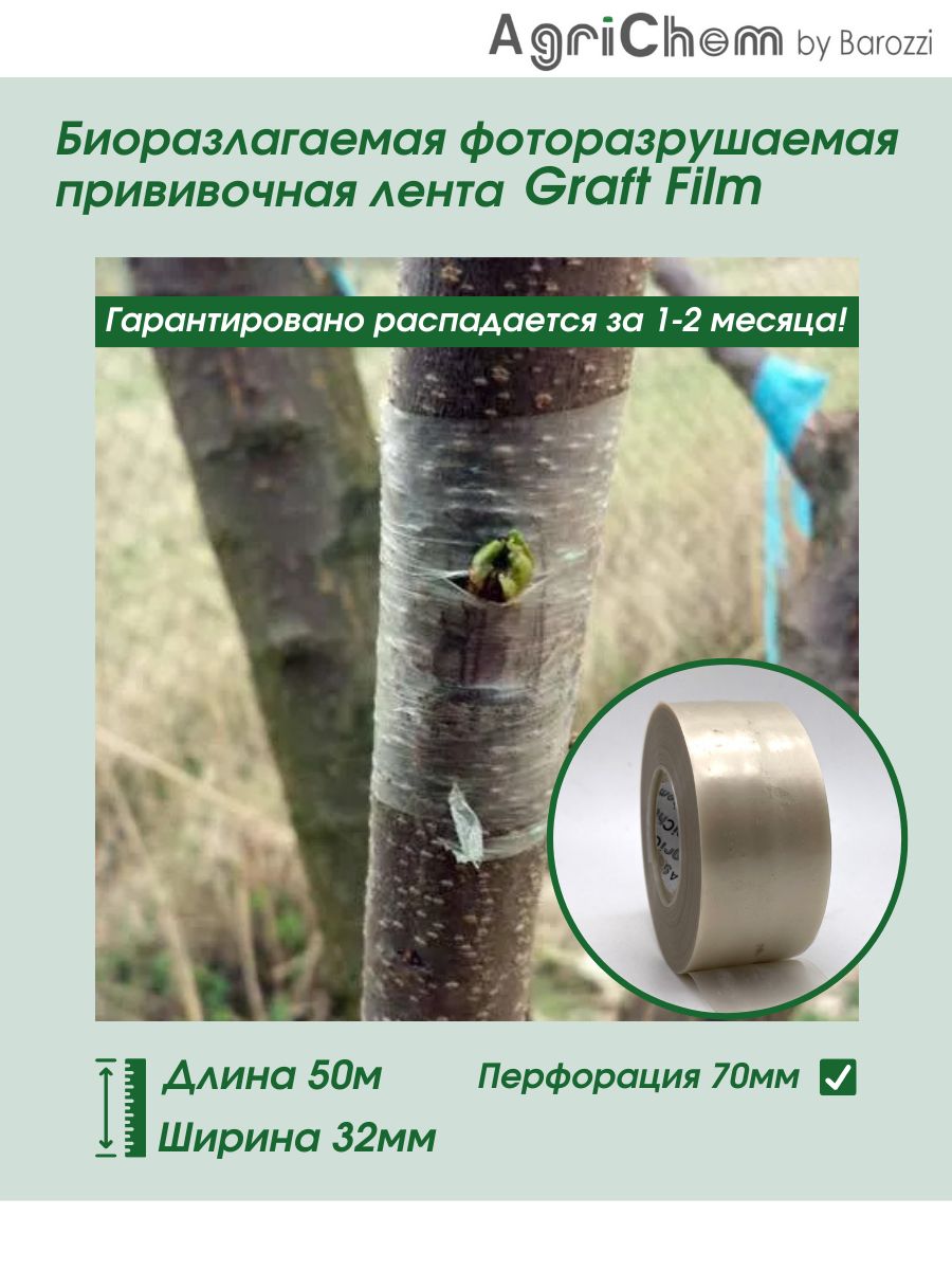 ЛентапрививочнаяGraft-Film32ммсперфорацией70мм(50м)