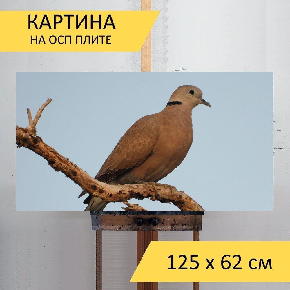 Картина птиц 