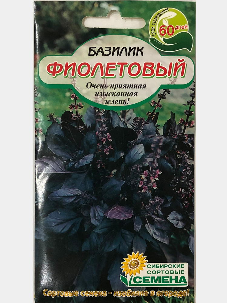 Базилик в сибири. Салатный базилик Сибирские сортовые семена. Семена базилик фиолетовый. Базилик Сибирский карлик.