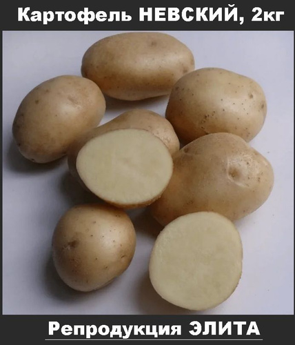Картофель молодой Египет +-5 кг - купить в Москве, цены в интернет-магазинах на 