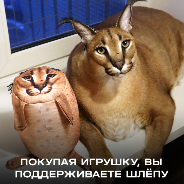 Блоптоп Ozon