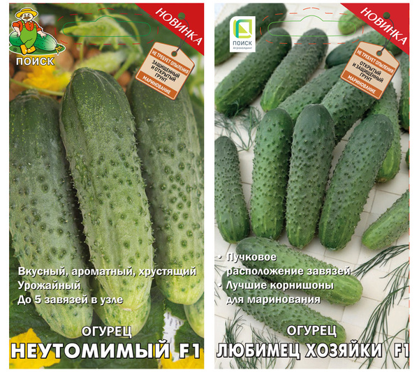 Огурцы Гавриш 972229 - купить по выгодным ценам в интернет-магазине OZON (840247