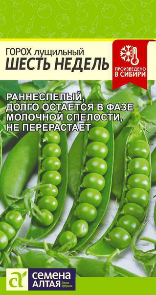 Горох Семена Алтая Весна Горох Шесть недель - купить по выгодным ценам ...