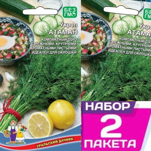Укроп Укроп Атаман - купить по выгодным ценам в интернет-магазине OZON ...