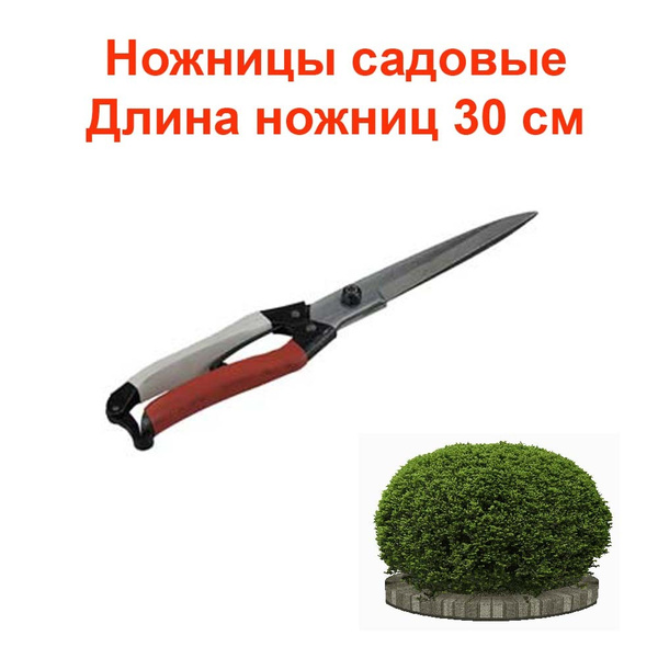 Садовые ножницы купить на OZON по низкой цене (554711854)