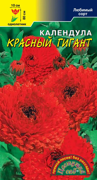 Календулы Цветущий сад Календула Красный гигант - купить по выгодным ...