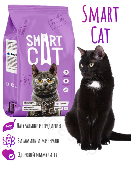 Айо для кошек отзывы. Смарт Кэт корм. Smart Cat корм для кошек. Smart Cat жидкий корм. Smart Cat сухой корм для котят с ягненком | 1.4kg.