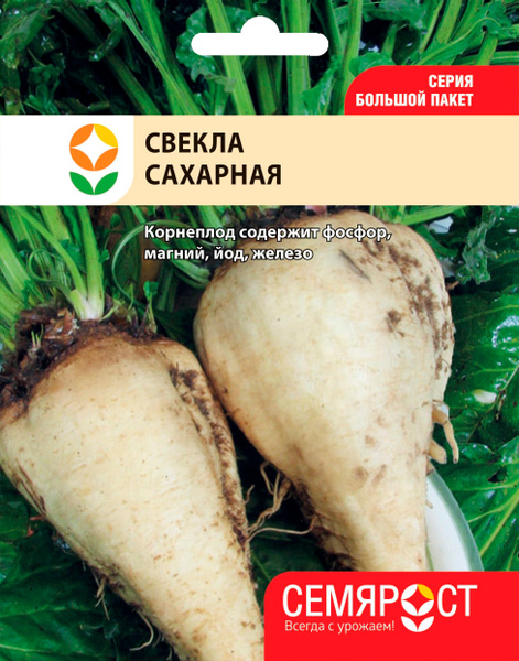 Свекла СЕМЯРОСТ Свекла - купить по выгодным ценам в интернет-магазине ...