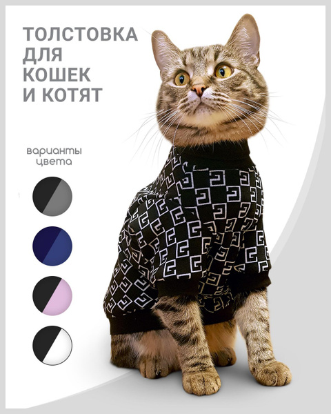 Толстовка одежда для кошек и котов сфинкс "Милано", XS - купить с ...