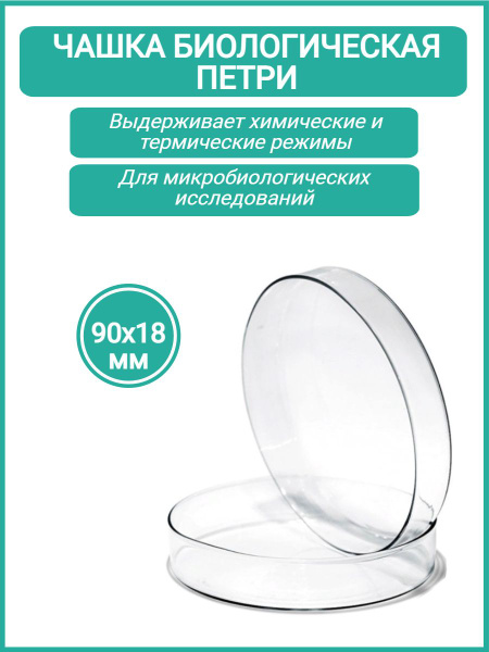 Чашка биологическая (Петри), 90х18 мм купить на OZON по низкой цене в ...