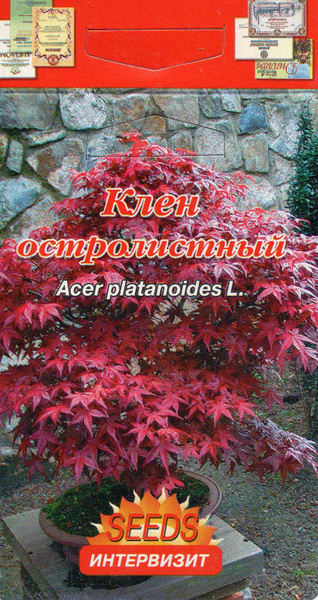 Характеристики Клён остролистный (Acer platanoides)семена подробное ...