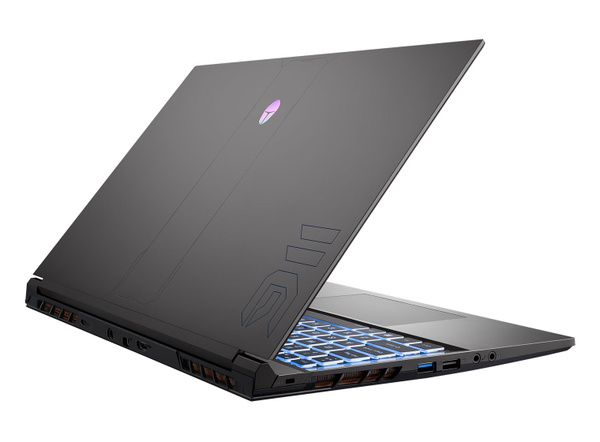 Игровой ноутбук ThundeRobot 911 MT Pro D, черный купить по низкой цене ...