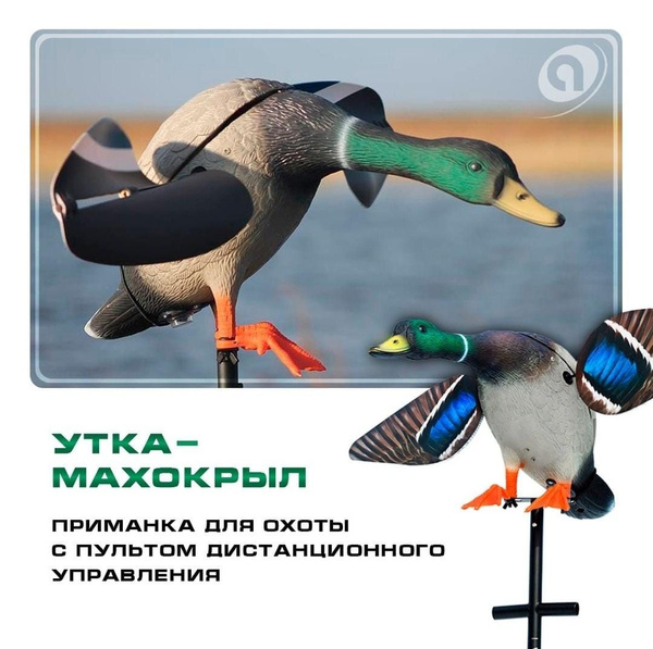 Махокрыл для охоты на утку - купить с доставкой по выгодным ценам в ...