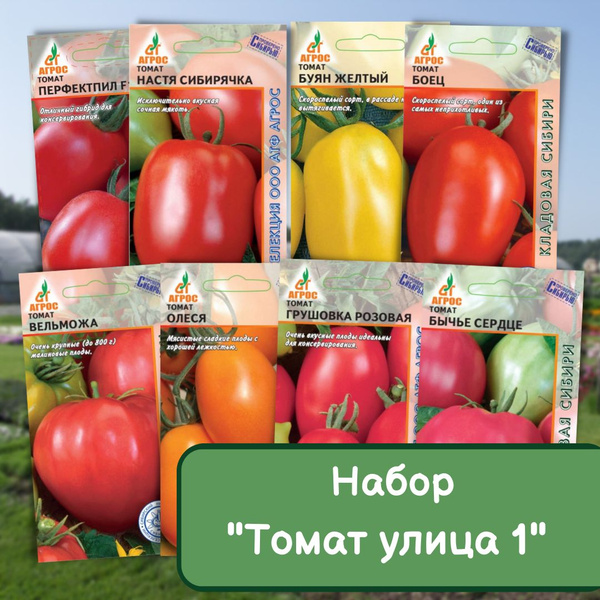 Томаты Агрос .Томат улица - купить по выгодным ценам в интернет ...