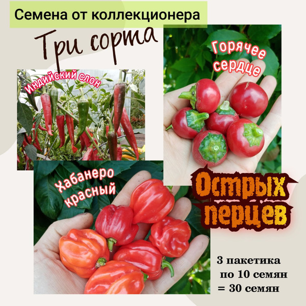Перец острый перца - купить по выгодным ценам в интернет-магазине OZON ...