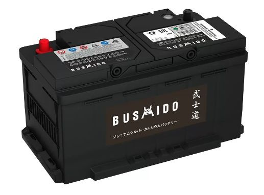 Аккумулятор автомобильный Bushido Bushido_EURO купить по выгодной цене ...