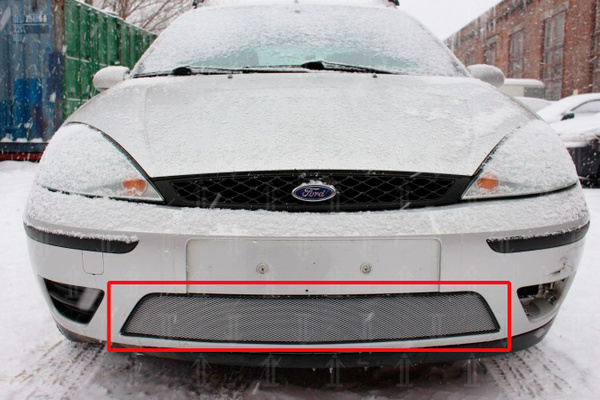 Защитная сетка радиатора хром Ford Focus 1 (2001-2005) рестайлинг ...