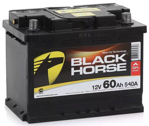 Аккумулятор автомобильный Black Horse EURO купить по выгодной цене в ...
