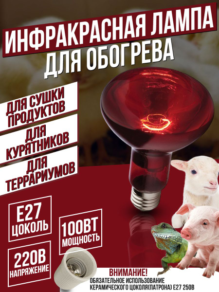 Инфракрасная лампа для курятника 100 Вт R95 - купить с доставкой по ...