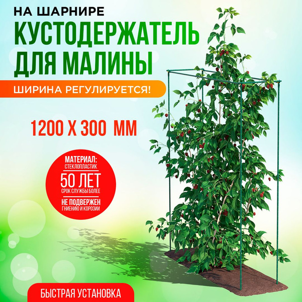 Кустодержатель для малины 120х30 см, высота 150 см. - купить по ...