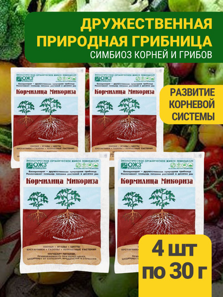Кормилица Микориза Универсальное удобрение для растений, рассады ...
