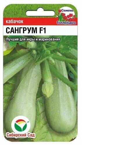Кабачки Сибирский сад кабачок_светло-зеленый - купить по выгодным ценам ...