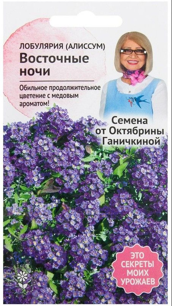 Лобулярии АгроСидсТрейд однолетних , карликовых цветов Алиссум "Бело ...
