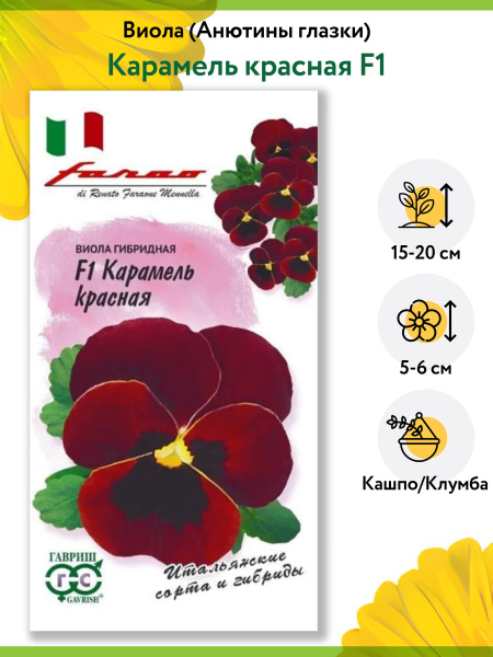 Виолы, анютины глазки Гавриш анютины глазки, виола ампельная, цветы ...
