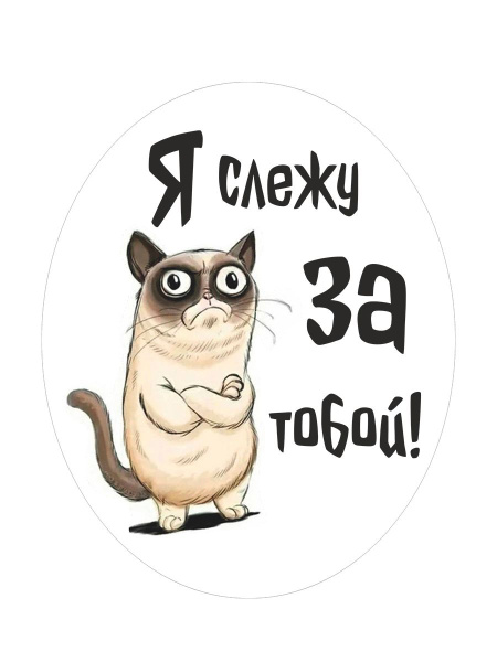 Наклейка интерьерная шуточная \"Кот\" на бачок унитаза, холодильник, на ...