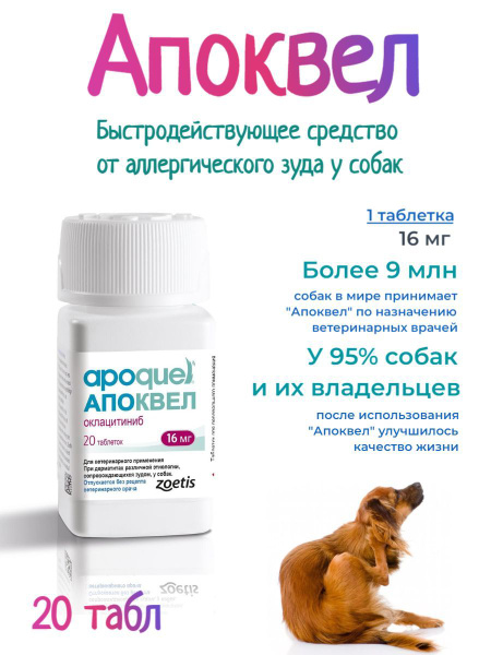 Zoetis Апоквел 16 мг №20 от аллергического зуда у собак - купить с ...