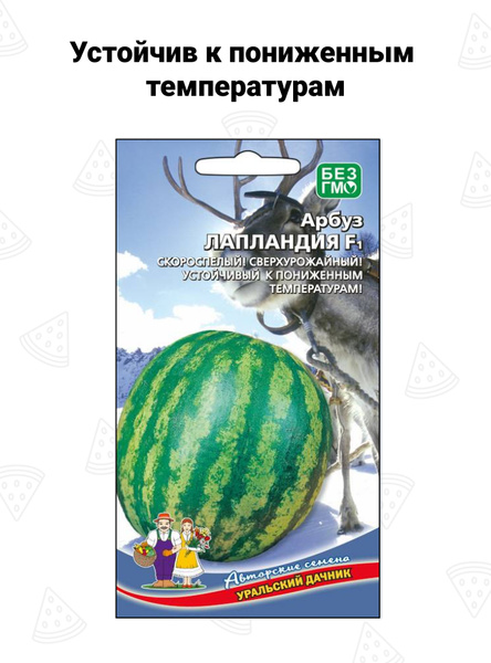 Арбуз Уральский дачник 1_sem_vmeste - купить по выгодным ценам в ...