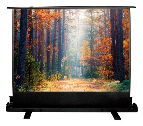 Экран Cactus 135x180см FloorExpert CS-PSFLE-180X135 4:3 напольный ...