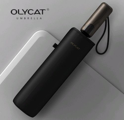 Зонт Olycat, 2 сложения, черный купить c доставкой на OZON по низкой ...